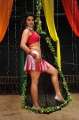 Madhu Sharma Hot Item Song Photos Stills