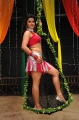 Madhu Sharma Hot Item Song Photos Stills