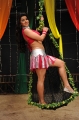 Madhu Sharma Hot Item Song Photos Stills