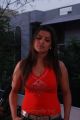 Actress Madhu Sharma in Red Dress Hot Pictures