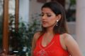 Actress Madhu Sharma Hot in Red Dress Pictures
