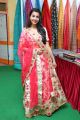 Sasha Singh launches Silk and Cotton Expo @ Himayatnagar Photos