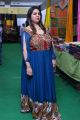 Madhulagna Das launches Silk and Cotton Expo @ Himayatnagar Photos