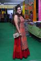 Madhulagna Das launches Silk and Cotton Expo @ Himayatnagar Photos