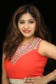 Actress Madhulagna Das Stills @ Danger Love Story Audio Release