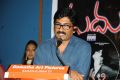 Raaj Shreedhar @ Madhumati Movie Audio Launch Function Stills
