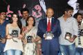 Madhumati Movie Audio Launch Function Stills