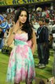 Madhuri Bhattacharya Hot Photos in CCL 2