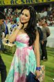 Madhuri Bhattacharya Hot Photos in CCL 2