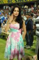 Madhuri Bhattacharya Hot Photos in CCL 2