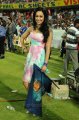 Madhuri Bhattacharya Hot in Telugu Warriors VS Karnataka Bulldozers