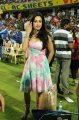 Madhuri Bhattacharya Hot Pics in CCL 2012