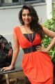 Telugu Actress Madhuri Itagi Stills at Overdose Launch