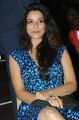 Actress Madhurima Hot Pics at Romance Audio Release