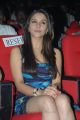 Madhurima Latest Hot Photos at Shadow Audio Launch Function