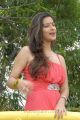 Madhurima Banerjee Latest Hot Photoshoot Stills