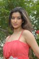 Actress Madhurima Banerjee Latest Hot Photoshoot Stills