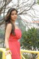 Actress Madhurima Banerjee Hot Photo Shoot Stills