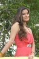 Actress Madhurima Banerjee Latest Hot Photoshoot Stills