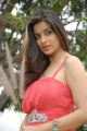 Actress Madhurima Banerjee Hot Photo Shoot Stills