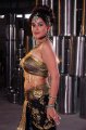 Madhurima Hot Spicy Gallery