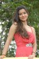 Madhurima Latest Photos at 101A Movie Launch