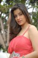 Hot Madhurima Latest Photos at 101A Movie Opening