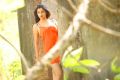 Telugu Actress Madhurima Portfolio New Stills