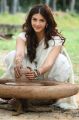 Actress Mehreen in Mahanubhavudu Movie HD Images