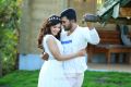 Mehreen Pirzada, Sharwanand in Mahanubhavudu Movie New HD Images