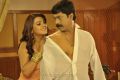 Tashu Kaushik, Ranjith in Maharaja Sri Galigadu Telugu Movie Stills