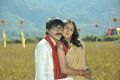 Ranjith, Bhanu Sri Mehra in Maharaja Sri Galigadu Telugu Movie Stills