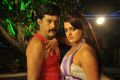 Ranjith, Tashu Kaushik Hot in Maharaja Sri Galigadu Telugu Movie Stills