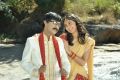 Ranjith, Bhanu Sri Mehra in Maharaja Sri Galigadu Telugu Movie Stills