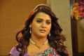 Actress Tashu Kaushik in Maharaja Sri Galigadu Telugu Movie Stills