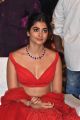 Actress Pooja Hegde @ Maharshi Vijayotsavam Function in Vijayawada Photos