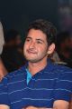 Mahesh Babu @ Maharshi Vijayotsavam Function in Vijayawada Photos