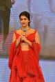 Actress Pooja Hegde @ Maharshi Vijayotsavam Function in Vijayawada Photos