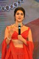 Actress Pooja Hegde @ Maharshi Vijayotsavam Function in Vijayawada Photos