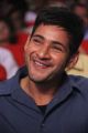 Actor Mahesh Babu Photos @ Aagadu Audio Launch