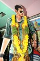 Dookudu Mahesh Babu Fans Hungama