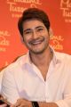 Hero Mahesh Babu Photos @ Madame Tussauds Wax Statue Launch AMB Cinemas