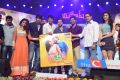 Mahesh Movie Audio Launch Photos