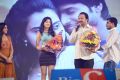 Mahesh Movie Audio Launch Photos