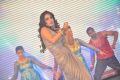 Mahi Gill Hot Dance Pics @ Thoofan Audio Release Function