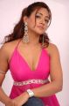 TRY Telugu Movie Heroine Mahima Desai Hot Stills