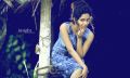 Actress Mahima Nambiar Hot Photoshoot Gallery