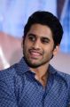 Hero Naga Chaitanya @ Majili Movie Success Meet Stills