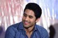 Majili Movie Success Meet Stills