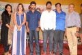 Majnu Telugu Movie Audio Success Meet Stills